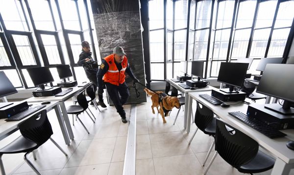 Caninos UNAM