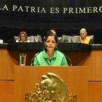 Busca Corona Nakamura actualizar texto de Ley de Instituciones de Seguros y de Fianzas
