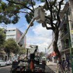 Presencia de Ale Rojo de la Vega en las calles se traduce en 94 por ciento de efectividad en gestiones ciudadanas