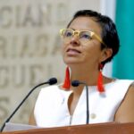 ¿Qué sentido tiene continuar la consulta de un documento que el gobierno ya reconoció que debe corregirse?: Liz Salgado